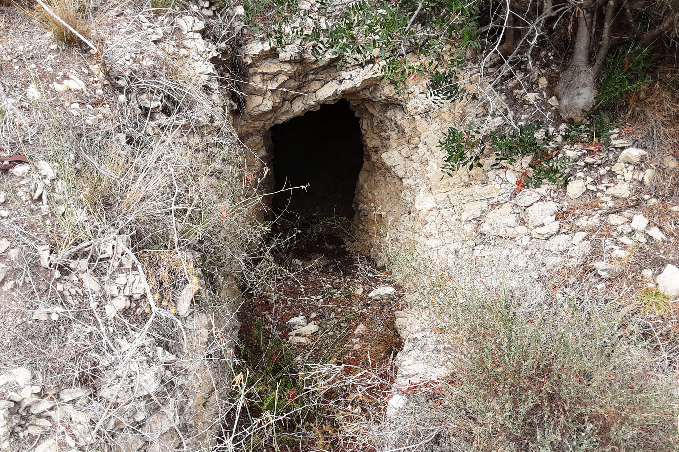 Fotografia de l'entrada d'una trinxera.